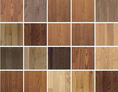 Collection of hardwood flooring samples showcasing different colors and textures